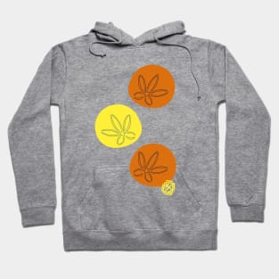 Orange and Yellow Sand dollars Hoodie